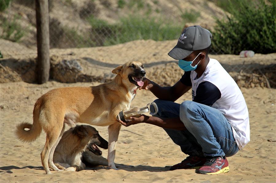 Sociedad Sulala para Entrenamiento y Cuidado de Animales en Gaza