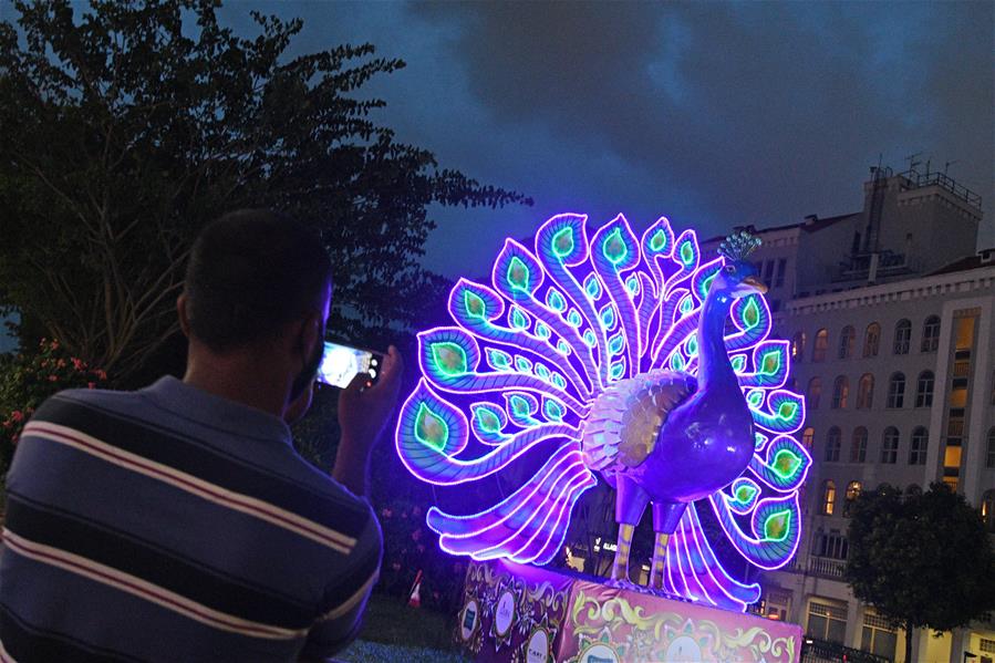 Decoraciones luminosas para próximo festival Deepavali en Singapur
