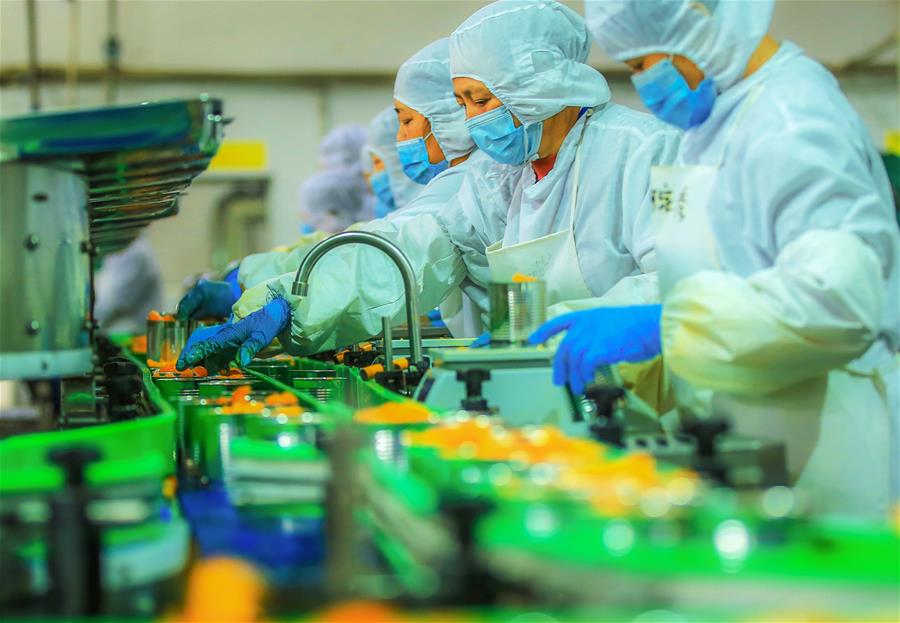 Hubei: Trabajadores preparan mandarinas enlatadas en línea de producción de alimentos automatizada en Yichang