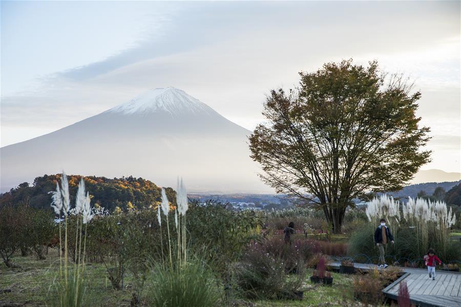 Monte Fuji en prefectura de Yamanashi, Japón