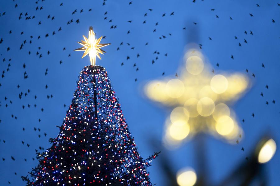 &Aacute;rbol de Navidad Nacional cerca de la Casa Blanca en Washington, D.C.