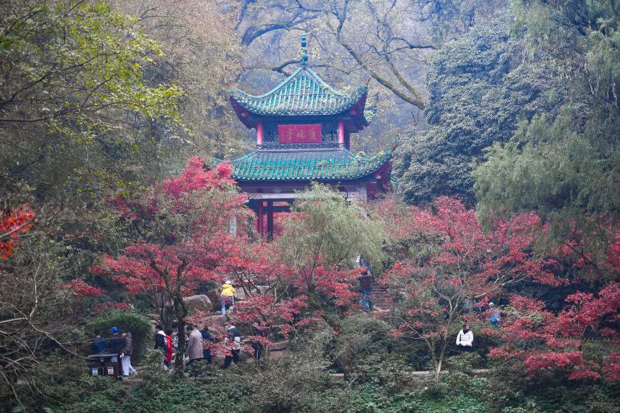 Hunan: Hojas de arce de colores en montaña Yuelu