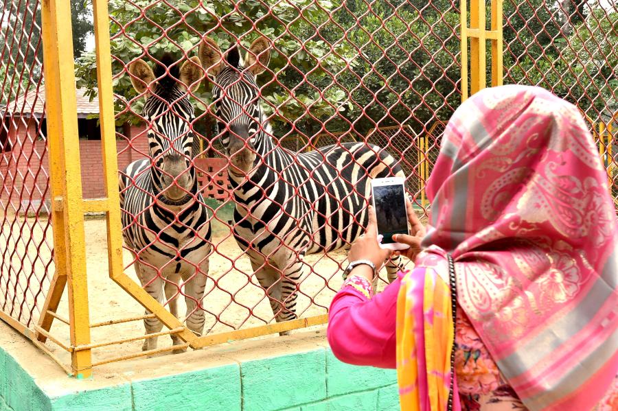 Zoológico en la ciudad portuaria de Chattogram en Bangladesh ha reabierto al público