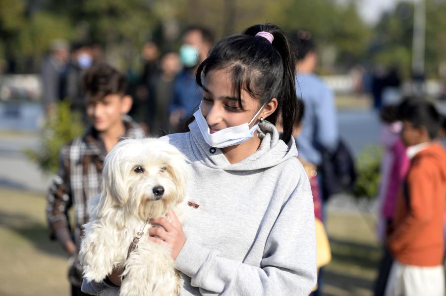 El Espectáculo de Perros de Todas las Razas se lleva a cabo en Pakistán