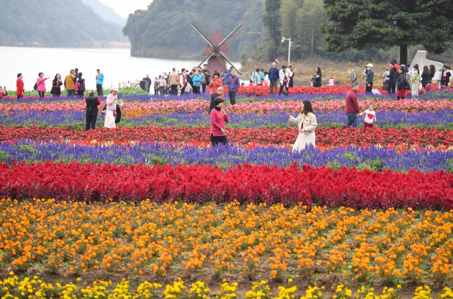 Turistas disfrutan en medio de las flores en Parque Forestal Nacional de Shimen