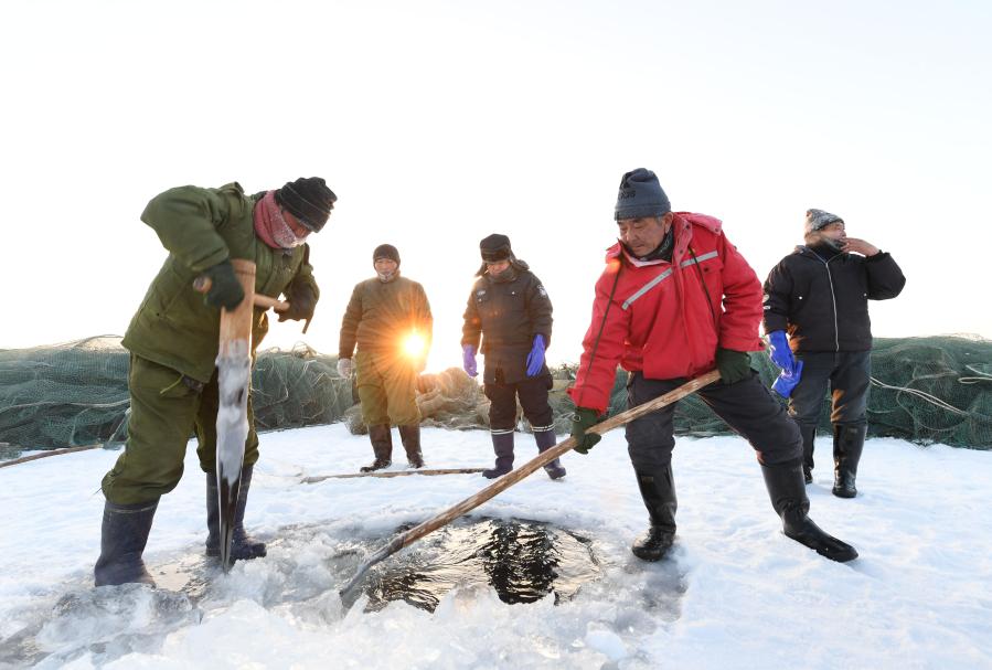 Xinjiang: Pescadores trabajan en la pesca invernal sobre congelado lago Ulunggur en distrito de Fuhai