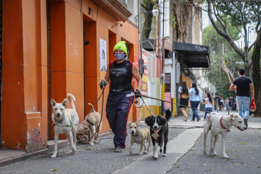 Vida cotidiana en la Ciudad de México