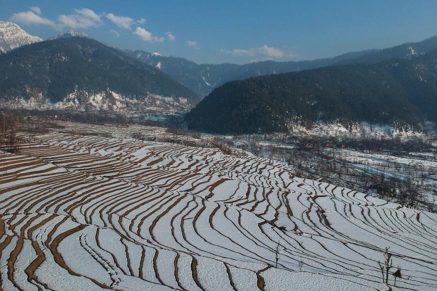 Campos cubiertos de nieve en Anantnag, Cachemira