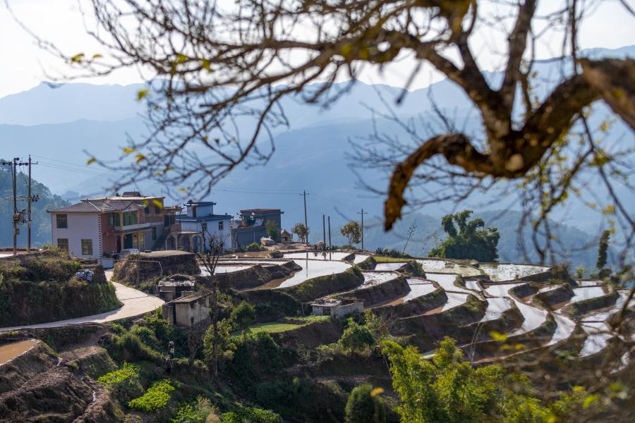 Campos en terrazas hani en poblado de Sancun, Yunnan