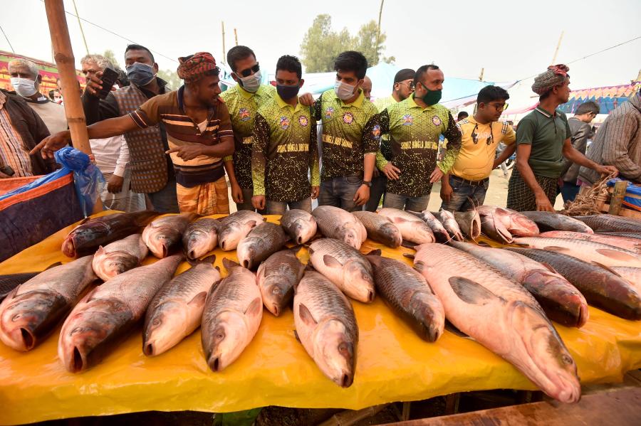 Antigua feria de pescados en Bogra, Bangladesh