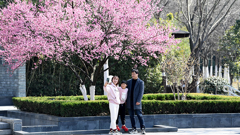 Personas disfrutan su tiempo libre en parque durante el Año Nuevo Lunar chino en Hefei