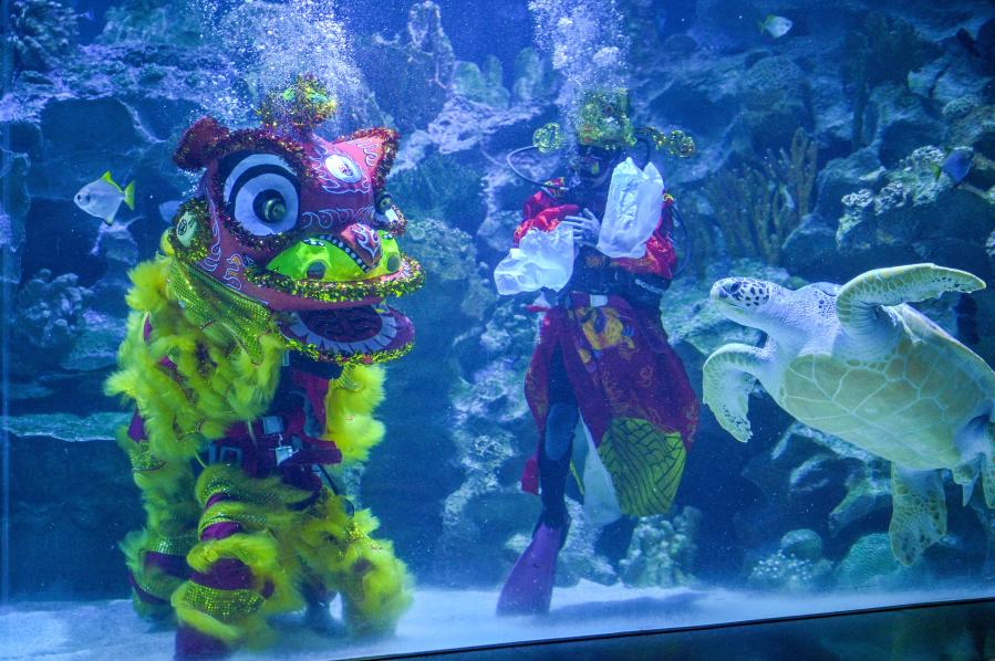 Buzos interpretan la danza del león bajo el agua en Kuala Lumpur, Malasia