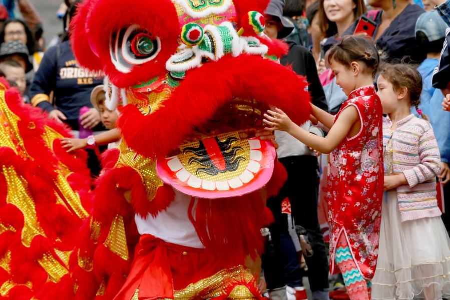 Desfile del Festival del Año Nuevo chino en Wellington, capital de Nueva Zelanda