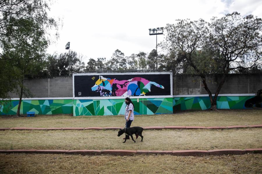 ESPECIAL: Pandemia une a familias con perros abandonados en metro de México