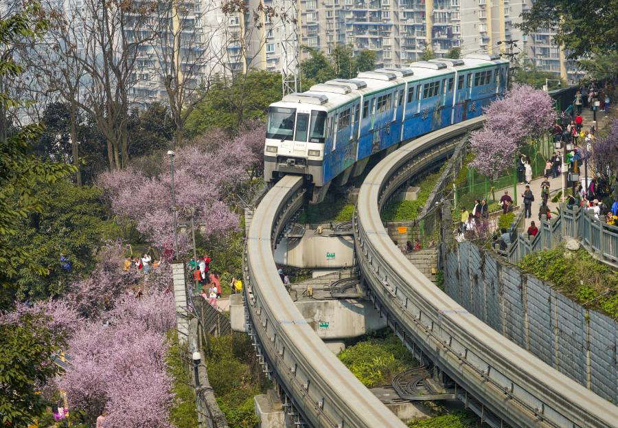 Tren monorraíl corre frente a flores en Chongqing