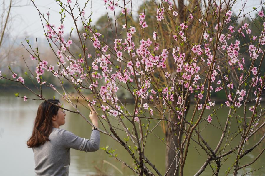 Personas disfrutan su tiempo libre entre flores en Jiangxi