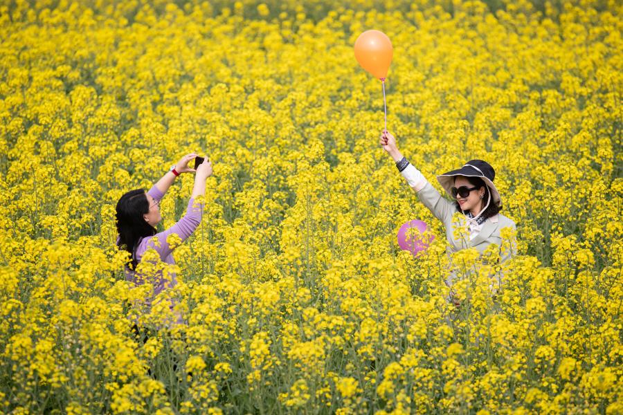 Personas disfrutan el paisaje de primavera en Guanghan, Sichuan