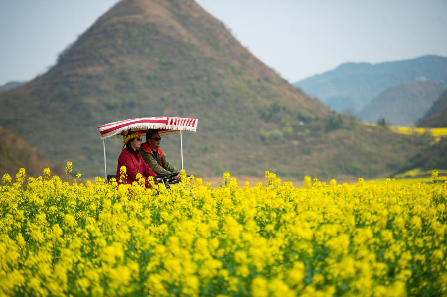 Flores de colza en área escénica en Luoping, Yunnan