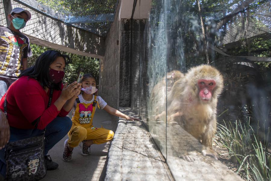 México: Primera etapa de reapertura de Zoológico de Chapultepec