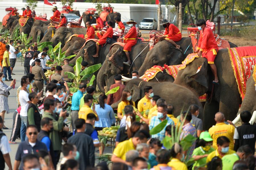 Celebración del Día Nacional del Elefante en Tailandia