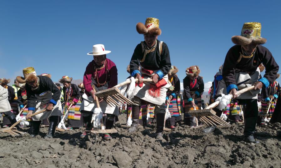 Personas participan en ceremonia que marca inicio del arado de primavera en Shannan,Tíbet