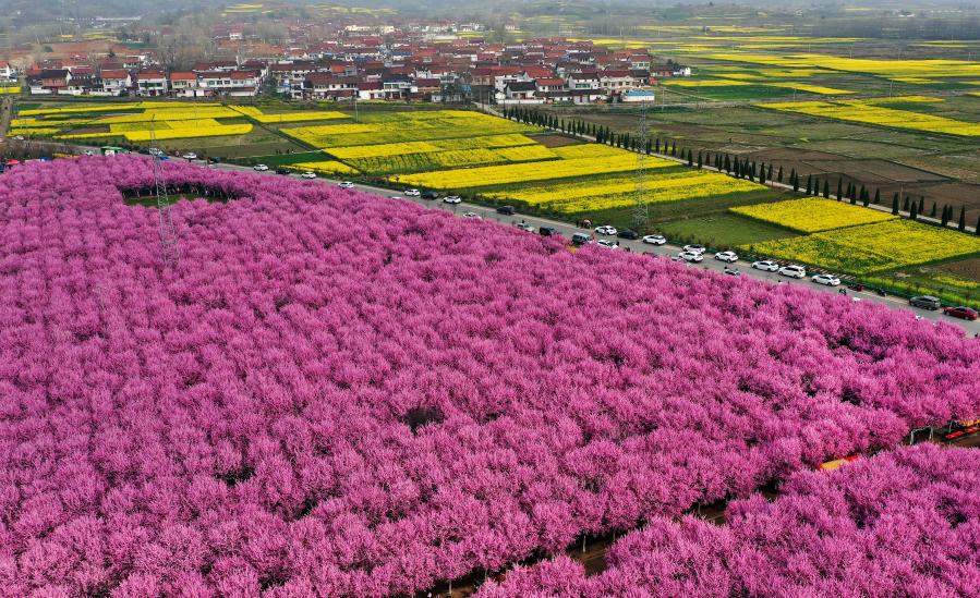 Flores en Hanzhong, Shaanxi