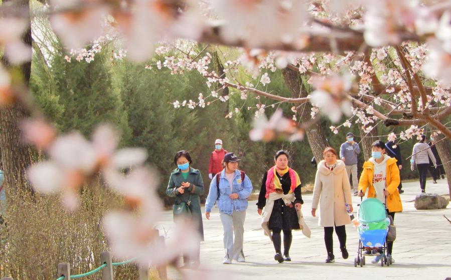 Turistas visitan Palacio de Verano en Beijing
