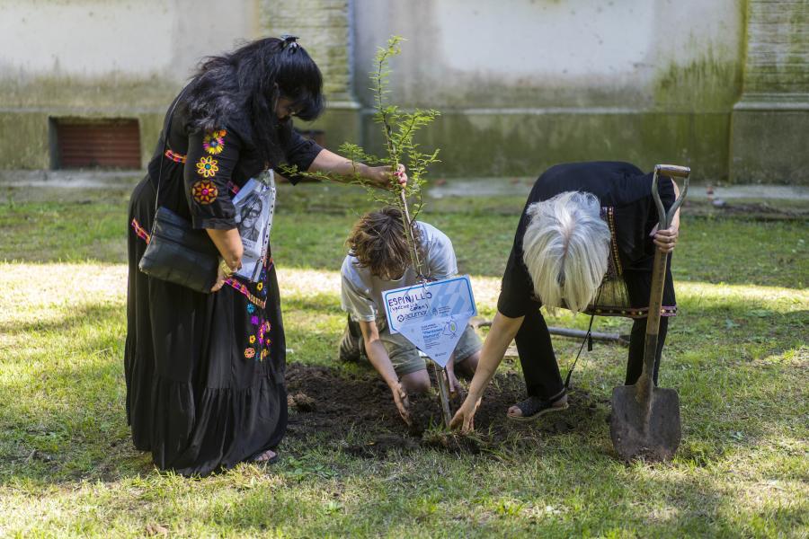 Campaña "Plantamos Memoria" en Buenos Aires, Argentina