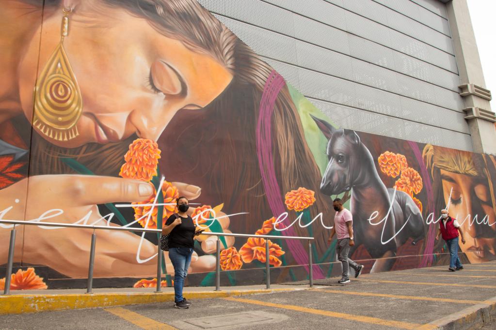 Murales elaborados por artistas urbanos en Ciudad de México