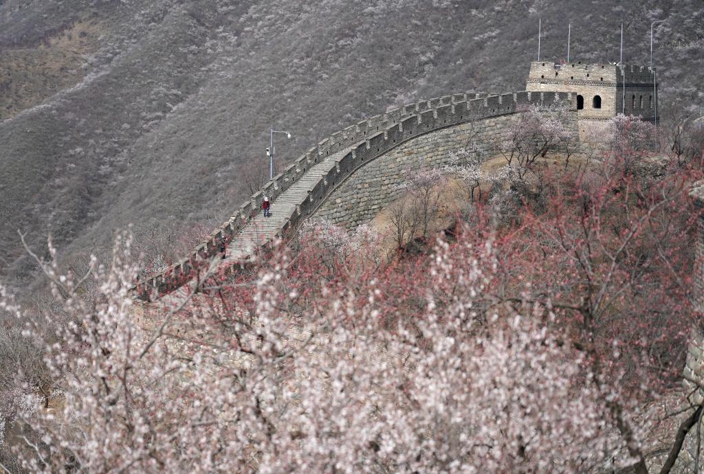 Paisaje de primavera de la Gran Muralla de Mutianyu en Beijing