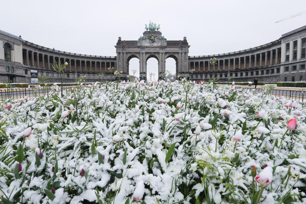 Raras nevadas de abril afectan Bélgica