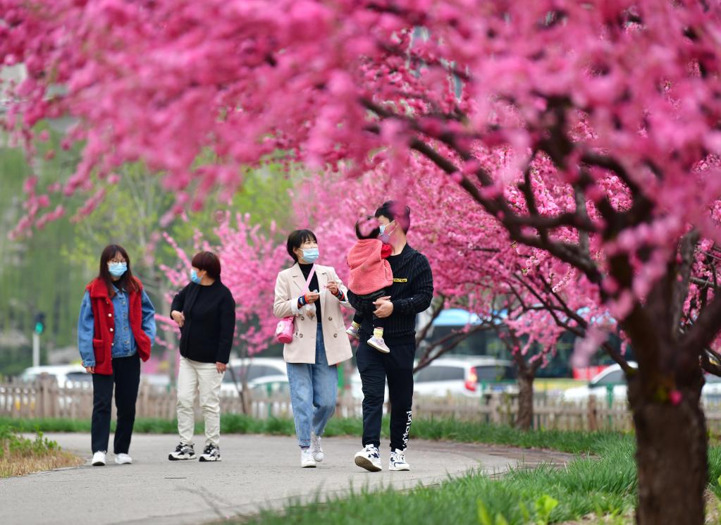 Hebei: Flores en parque Huangtaishan atraen a muchos turistas