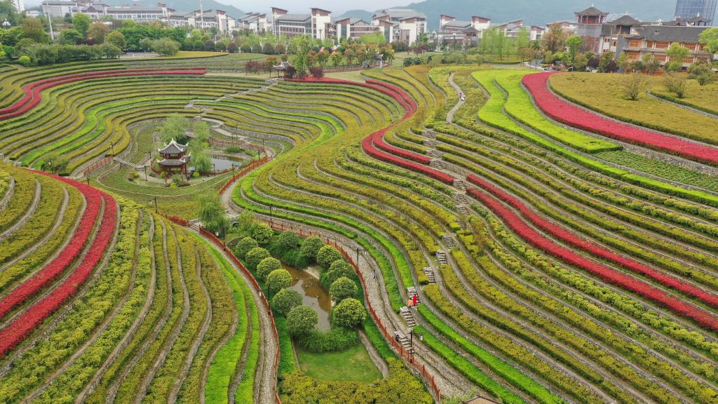 Campos en terraza en antiguo poblado de Shexiang en Guizhou