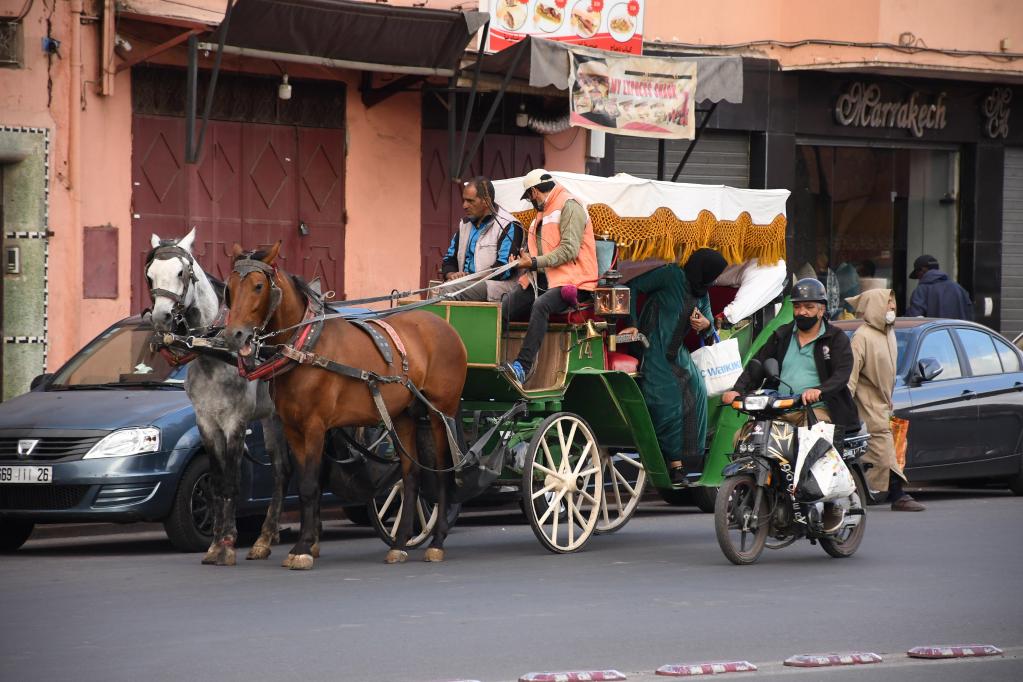 Carruajes tirados por caballos en Marrakech, Marruecos
