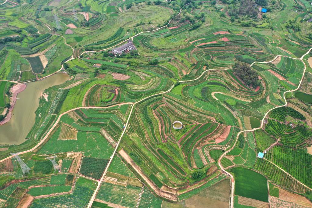 Vista aérea de los campos en Nanning, Guangxi