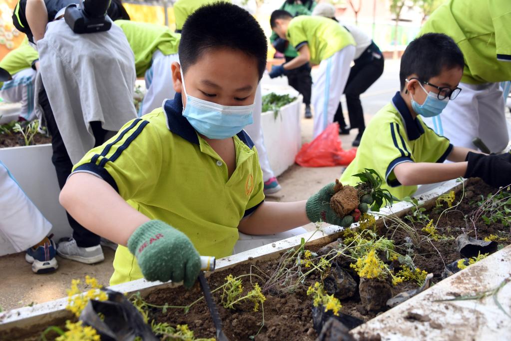 Beijing: Estudiantes plantan para embellecer barrio
