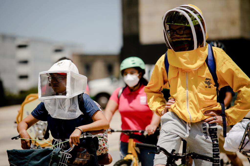 México: Ciclistas vestidos con trajes de apicultores participan en rodada por abejas
