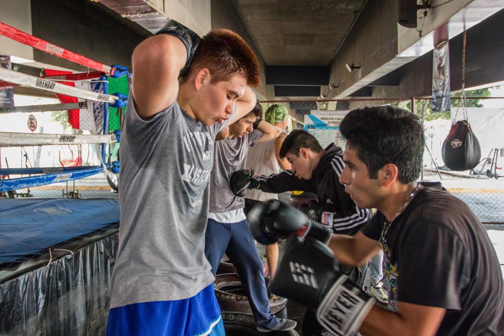 Escuela de Box en la Ciudad de México