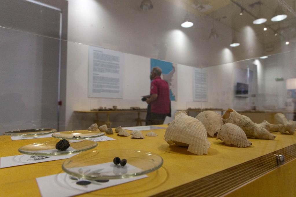 Exposición "Mirar a través: Un Asentamiento en Keros hace 4.500 años" en Grecia