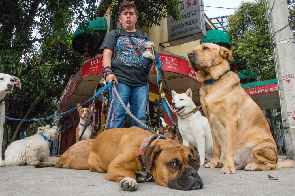 Marisol Trujillo, paseadora de perros en Ciudad de México