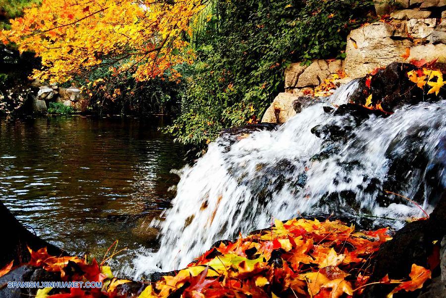 Shandong: Bello paisaje de parque Baotuquan en otoño