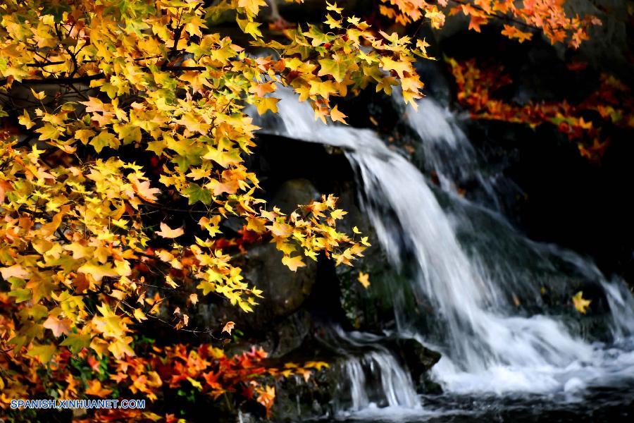 Shandong: Bello paisaje de parque Baotuquan en otoño