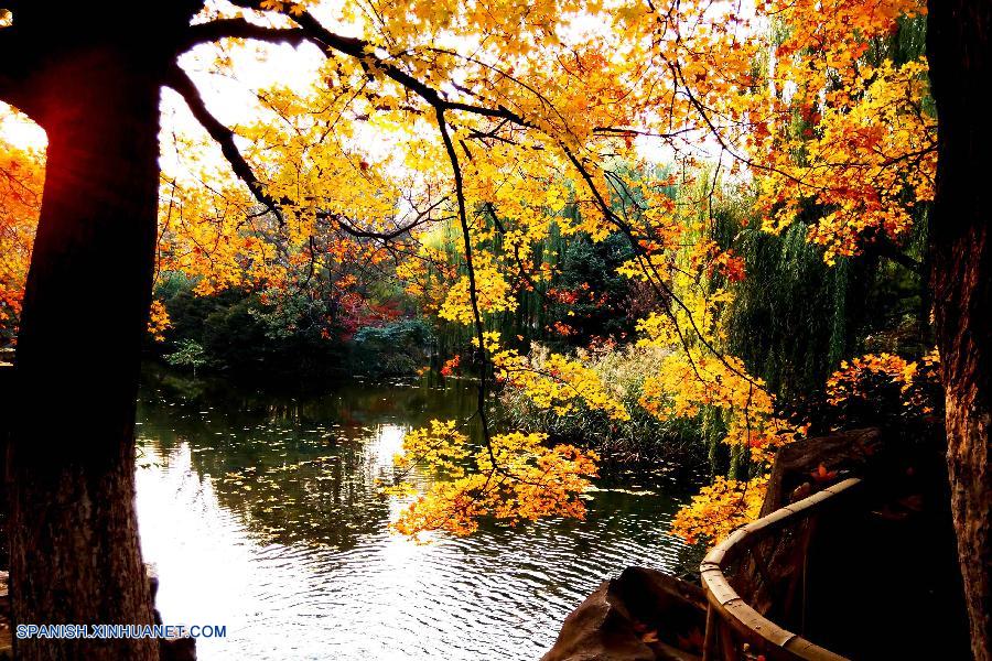 Shandong: Bello paisaje de parque Baotuquan en otoño