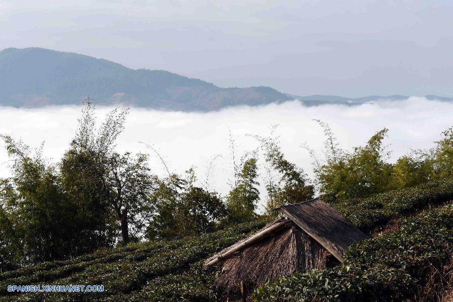 Yunnan: 'Mar de nube' en montaña Jinuo en Ciudad Jinghong