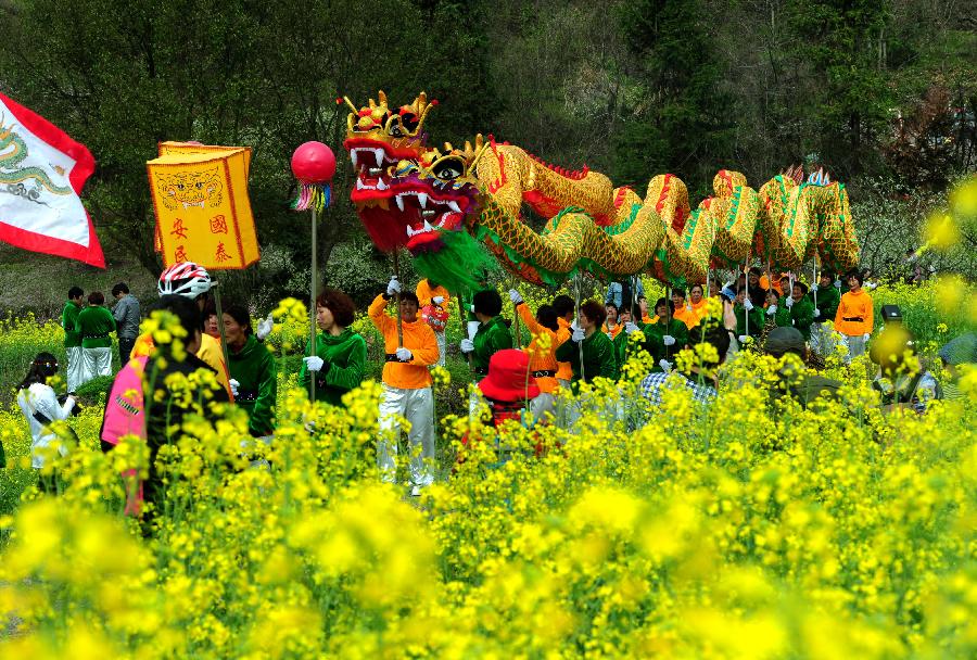 Bello paisaje de flores de colza en sur de China
