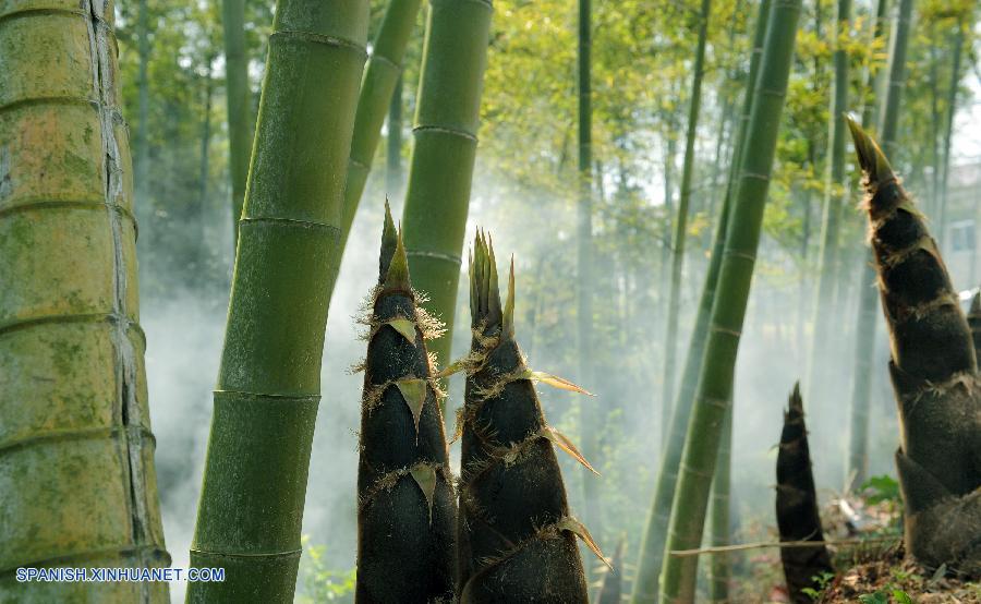 Anhui: Lago Wanfo en Condado Shucheng