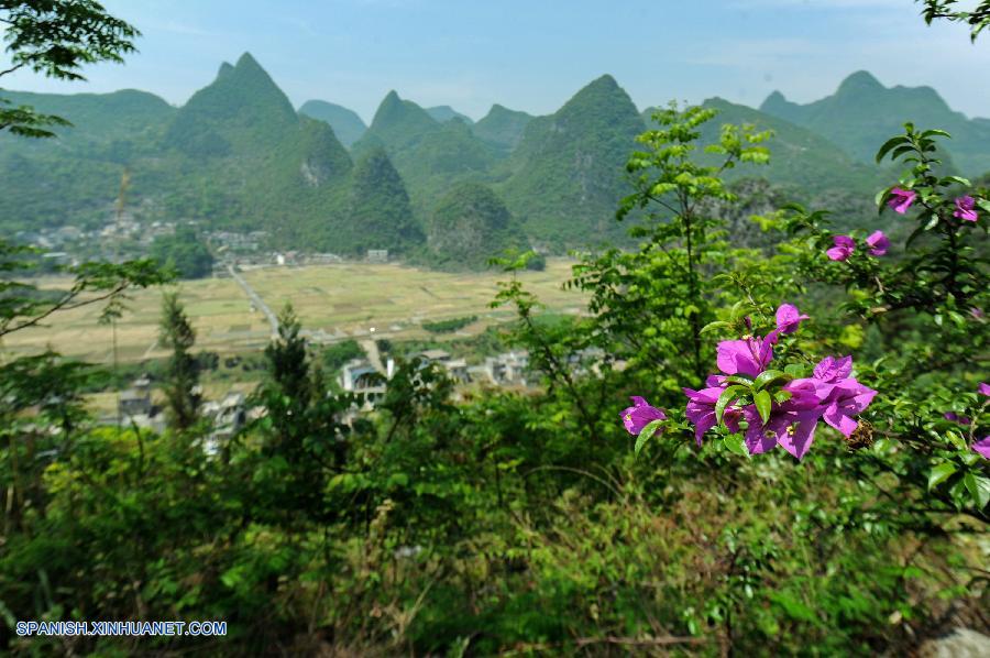 Guizhou: Bello paisaje de Wanfenglin en Xingyi