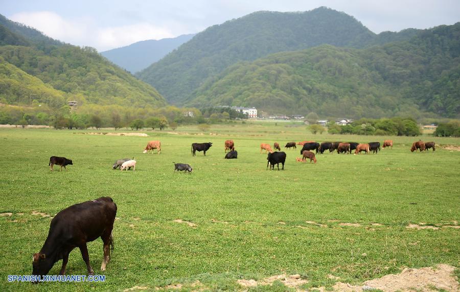 Hubei: Parque nacional Humedales Dajiuhu en Shennongjia