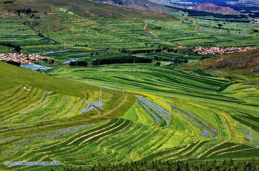 Hebei: Paisaje pastoral en Condado Guyuan de Zhangjiakou