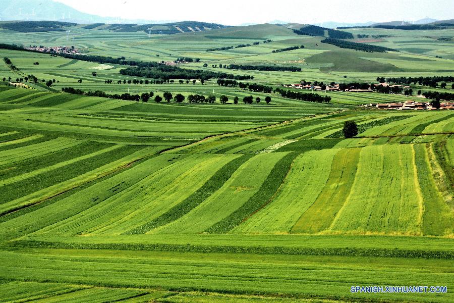 Foto tomada el 19 de agosto de 2015 muestra el paisaje de las tierras en el distrito Guyuan de Zhangjiakou, en el norte de la provincia Hebei.  